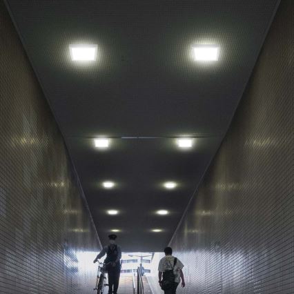 LED taklampa LED/6W/230V 3000K 12x12 cm vit