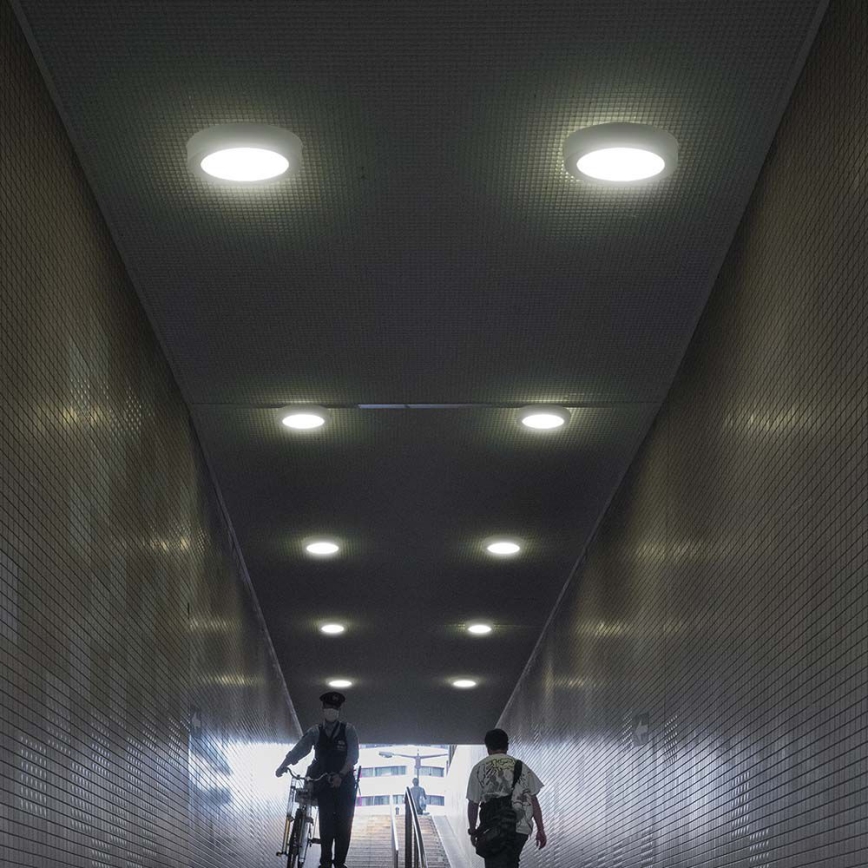 LED taklampa LED/6W/230V 4000K vit