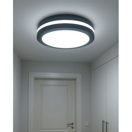 LED-taklampa med rörelsesensor LED/20W/230V 3000/4000/6500K Ø 230 cm IP54 antracit