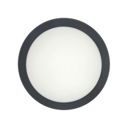 LED-taklampa med rörelsesensor LED/20W/230V 3000/4000/6500K Ø 230 cm IP54 antracit