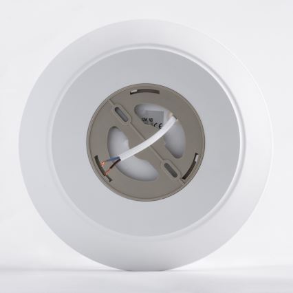 LED taklampa med sensor AVESTA LED/12W/230V 4000K IP54