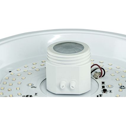 LED taklampa med sensor och nödmodul MANA LED/12W/230V 4000K