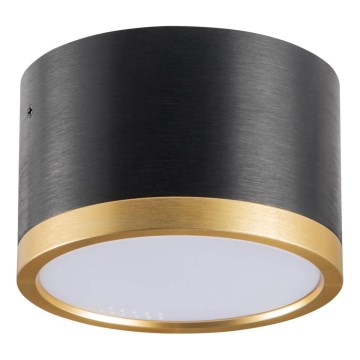 LED taklampa MIRELLA 1xGX53/6W/230V svart/guld