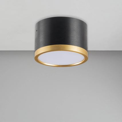 LED taklampa MIRELLA 1xGX53/6W/230V svart/guld