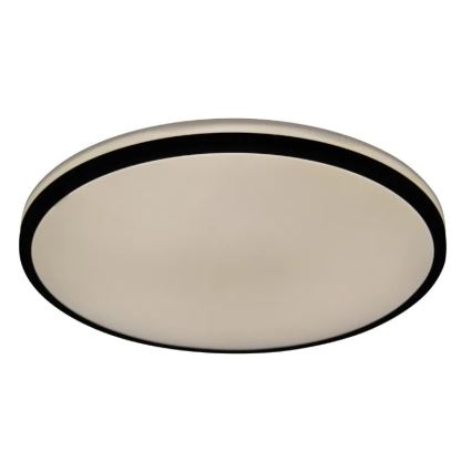 LED Dimbar taklampa OPAL LED/48W/230V 3000-6500K + fjärrkontroll
