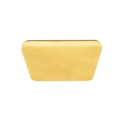 LED Dimbar taklampa OPAL LED/60W/230V 3000-6500K + fjärrkontroll