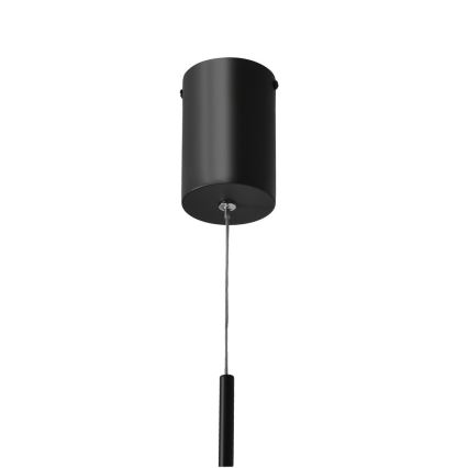 LED Taklampa på lina PUMA LED/10W/230V Ø 14 cm svart