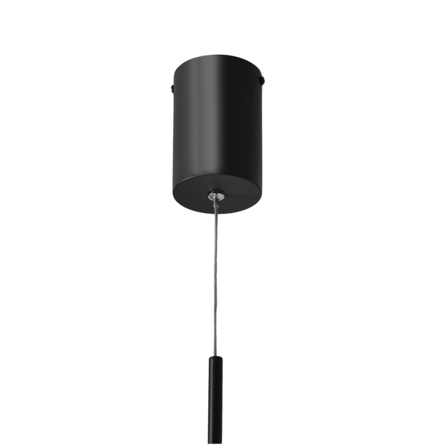 LED Taklampa på lina PUMA LED/10W/230V Ø 14 cm svart
