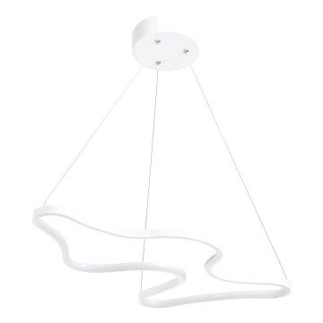 LED Taklampa på vajer ARTISAN LED/36W/230V 4000K vit
