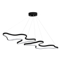 LED Taklampa på vajer DUPLE ARTISAN LED/80W/230V 6500K svart