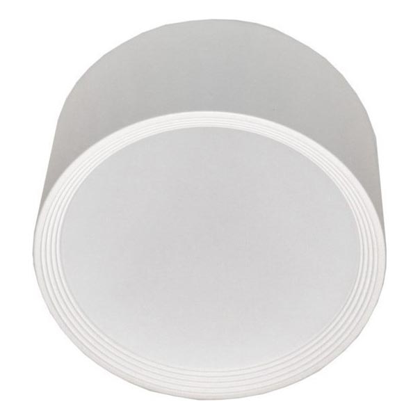 LED taklampa PERCI LED/30W/230V IP40 4000K vit
