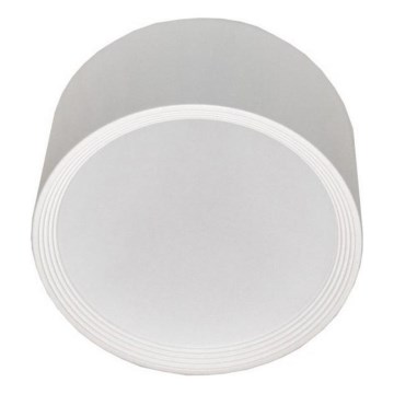 LED taklampa PERCI LED/30W/230V IP40 4000K vit