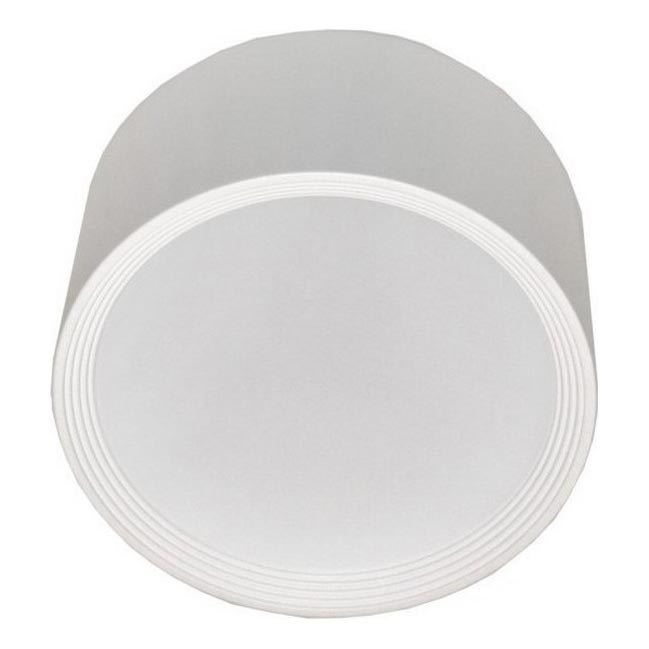LED taklampa PERCI LED/30W/230V IP40 4000K vit