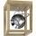 LED taklampa ROY 1xGU10/5W/230V matt ek