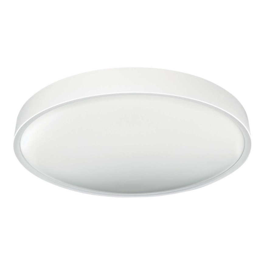 LED taklampa SAMER LED/24W/230V 4000K
