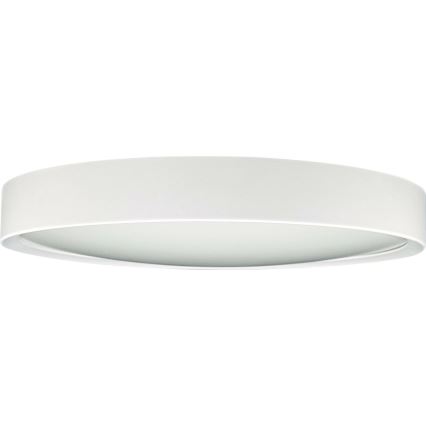 LED taklampa SAMER LED/24W/230V 4000K