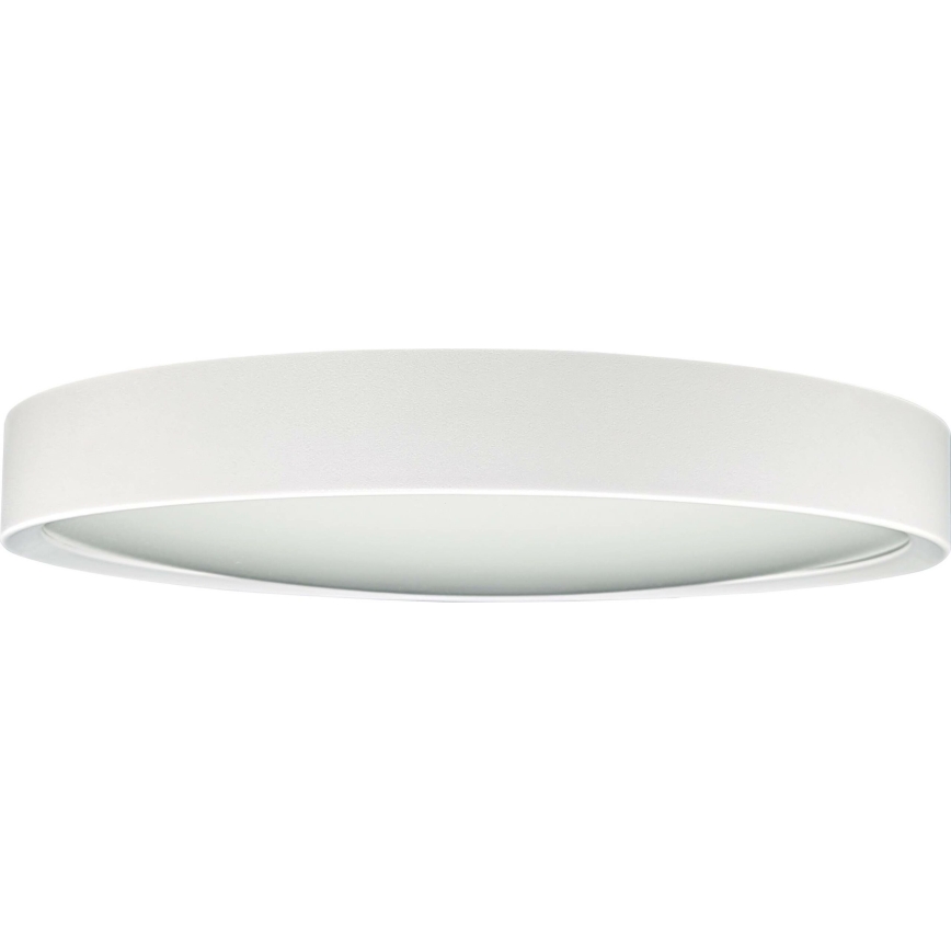 LED taklampa SAMER LED/24W/230V 4000K