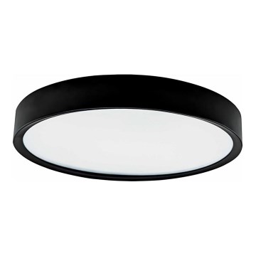 LED Taklampa SAMER LED/24W/230V 4000K