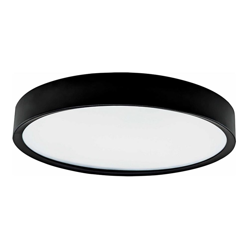 LED Taklampa SAMER LED/24W/230V 4000K