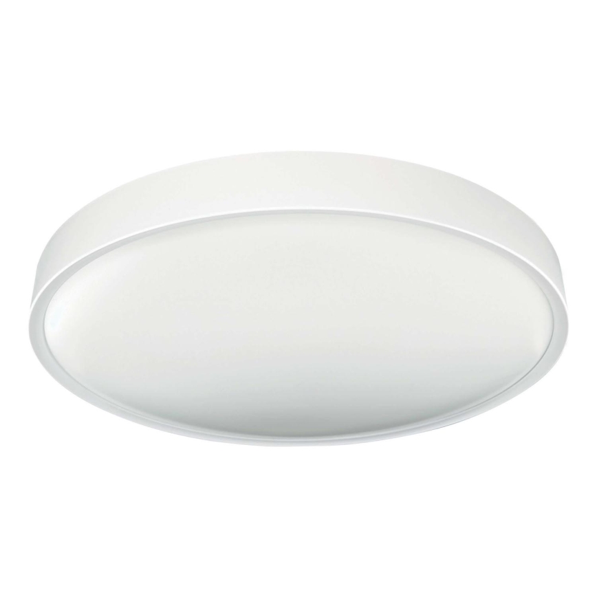 LED taklampa SAMER LED/40W/230V 4000K