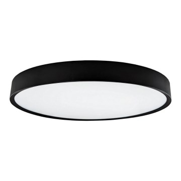 LED Taklampa SAMER LED/40W/230V 4000K