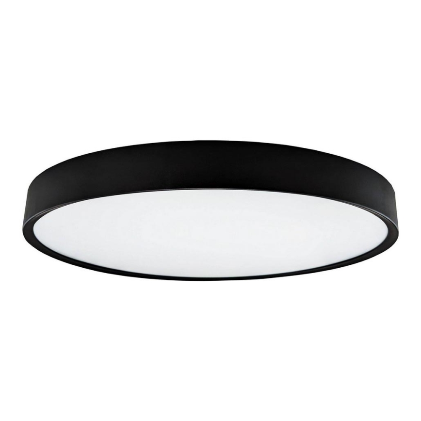 LED Taklampa SAMER LED/40W/230V 4000K