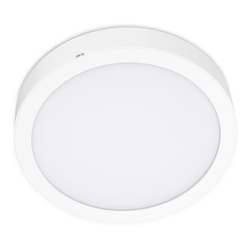 LED taklampa SIGARO CIRCLE LED/24W/230V 4000K IP40
