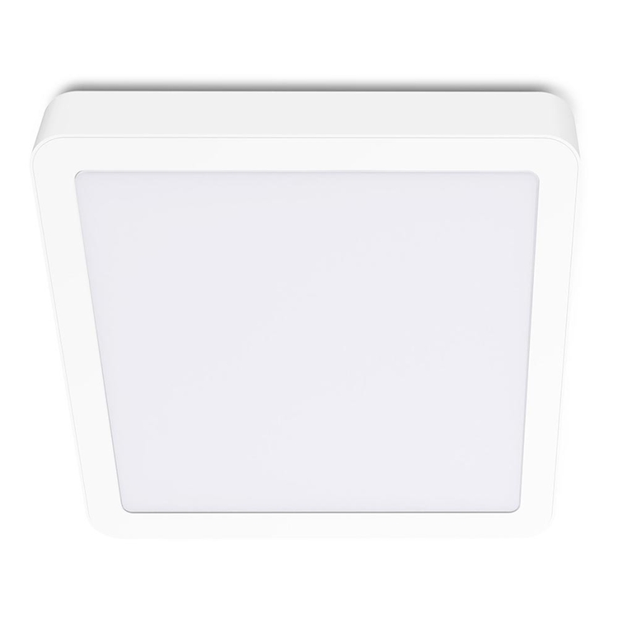 LED taklampa SIGARO SQUARE LED/24W/230V 4000K IP40
