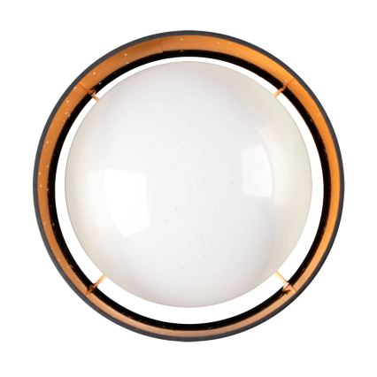 LED taklampa TULUZA LED/18W/230V diameter 32 cm svart