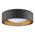 LED taklampa TULUZA LED/24W/230V diameter 40 cm svart