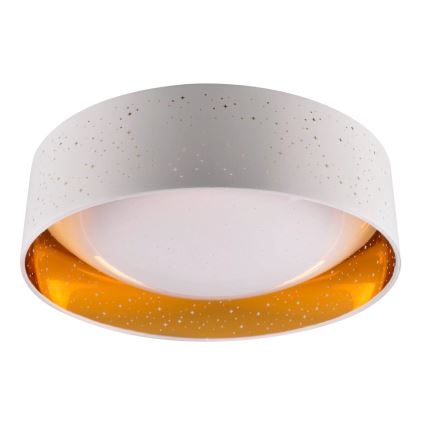 LED taklampa TULUZA LED/24W/230V diameter 40 cm vit
