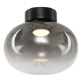 LED taklampa VASO LED/4W/230V diameter 18 cm svart/rökig