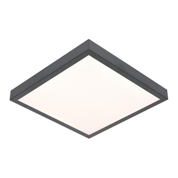 LED Taklampa VITALI LED/24W/230V