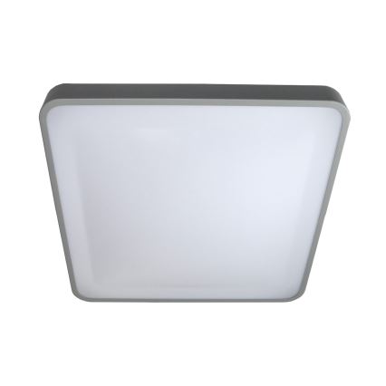 LED taklampa WILTON LED/24W/230V 37,5x37,5 cm grå