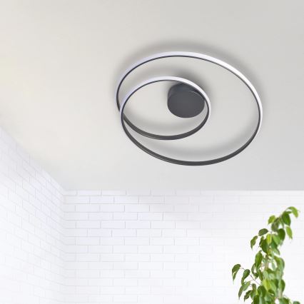 LED taklampa ZEFIRA LED/40W/230V 4000K diameter 50 cm antracit