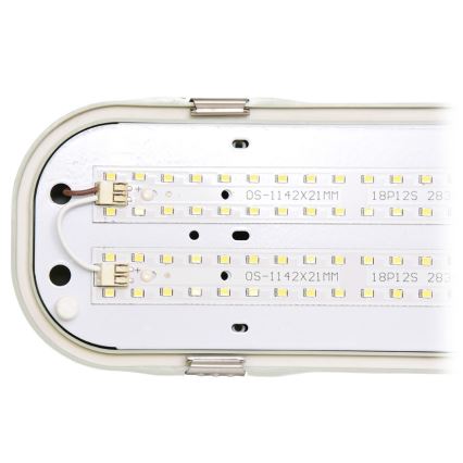 LED Tekniskt ljus LIBRA LED/72W/230V IP65 4100K
