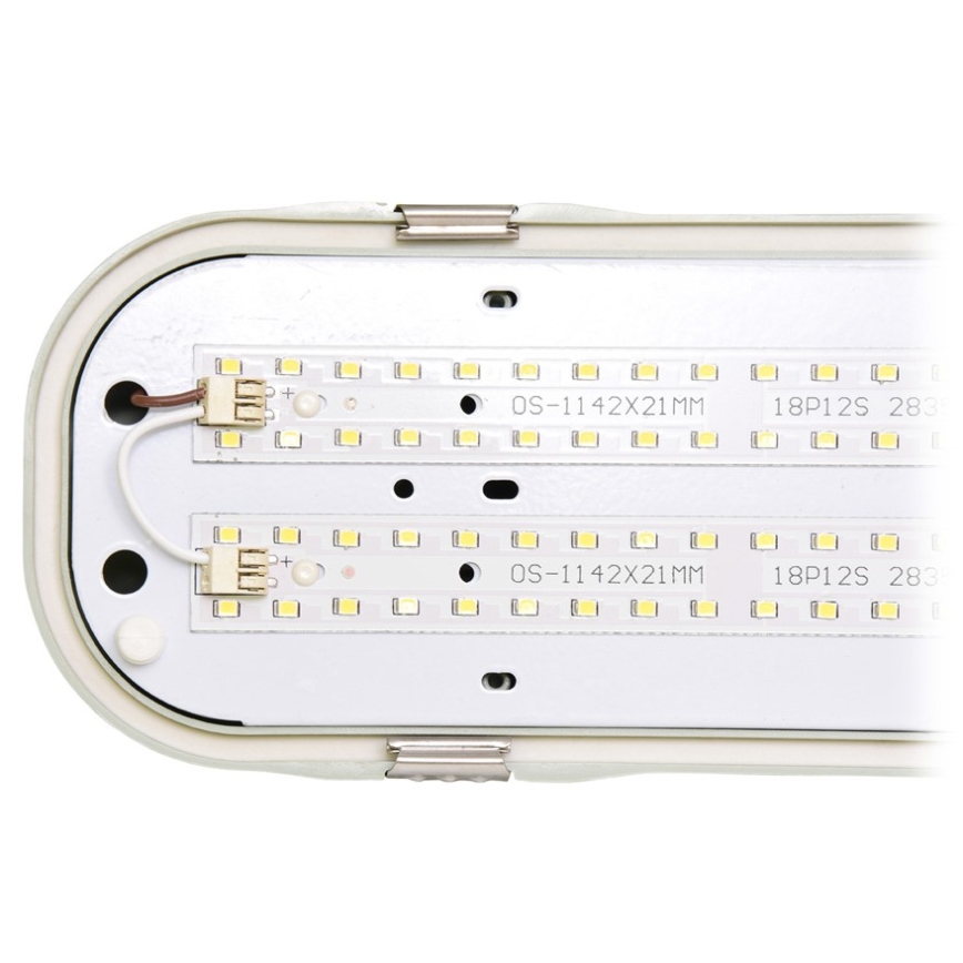 LED Tekniskt ljus LIBRA LED/72W/230V IP65 4100K