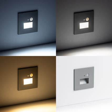 LED Trappbelysning med rörelsesensor LED/1,5W/230V 3000K/4000K/6500K
