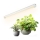 LED Under-shelf Plant Grow Light GROWLY LED/9W/230V vit