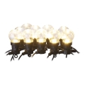 LED Utomhus  dekorativ kedja 10xLED/10m IP44 transparent 