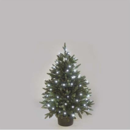 LED utomhus julkedja  40xLED/9m IP44 kall vit 