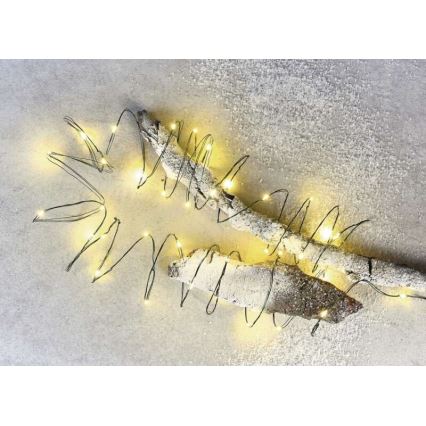 LED utomhus julkedja  40xLED/9m IP44 varm vit 