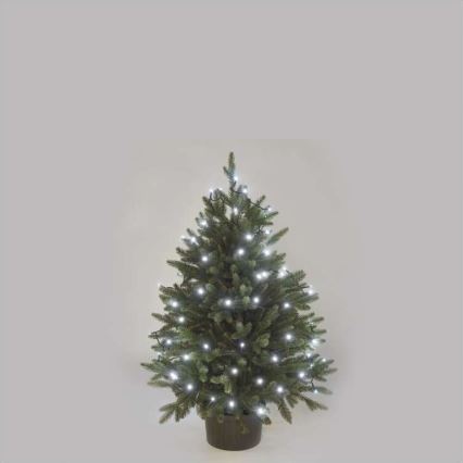LED utomhus julkedja  80xLED/13m IP44 kall vit