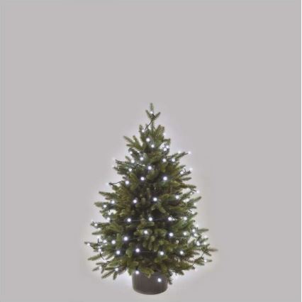 LED utomhus julkedja  80xLED/13m IP44 kall vit 
