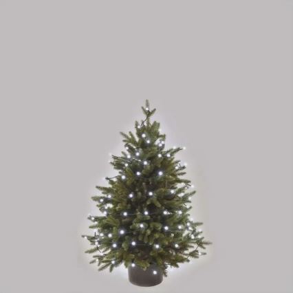 LED utomhus julslinga 80 LED, 8 funktioner, 13 m, kallvit, IP44