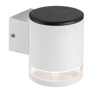 LED Utomhus solcell vägglampa LED/1W/3,7V 3000K IP54 vit