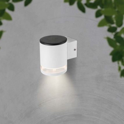 LED Utomhus solcell vägglampa LED/1W/3,7V 3000K IP54 vit