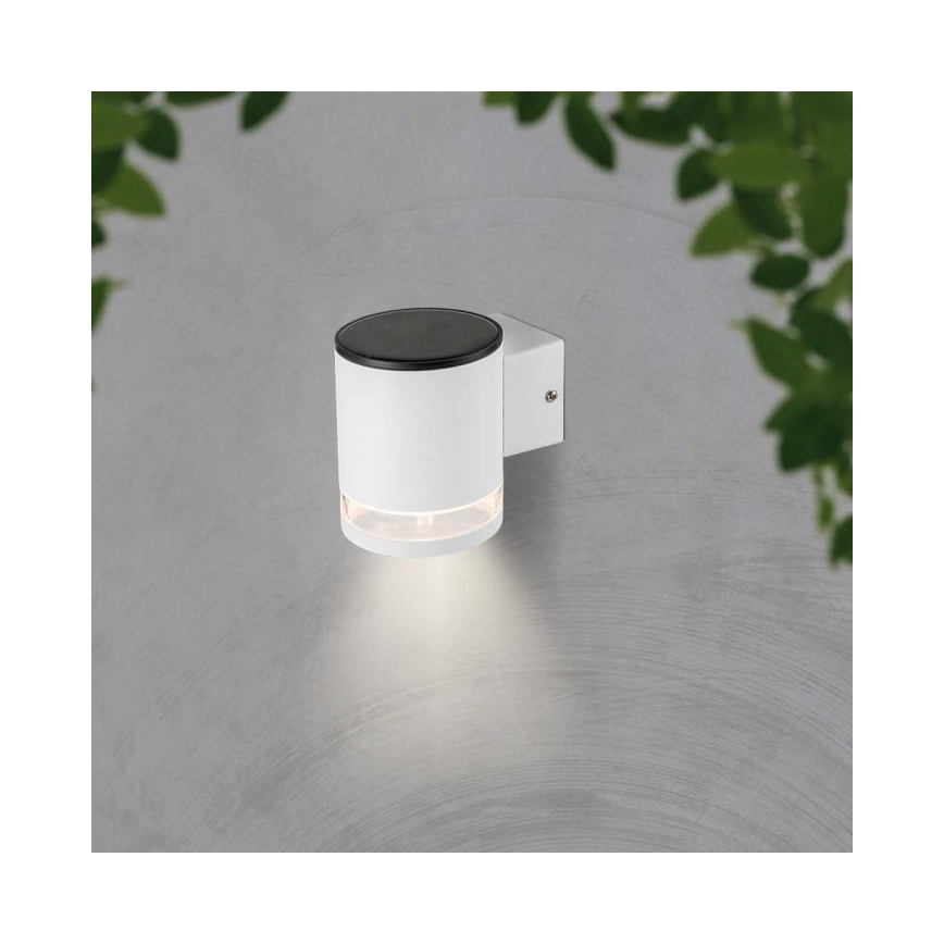 LED Utomhus solcell vägglampa LED/1W/3,7V 3000K IP54 vit