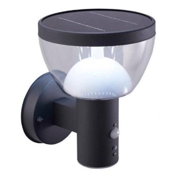LED Utomhus solcell vägglampa med sensor LARIX LED/3W/3,7V IP44