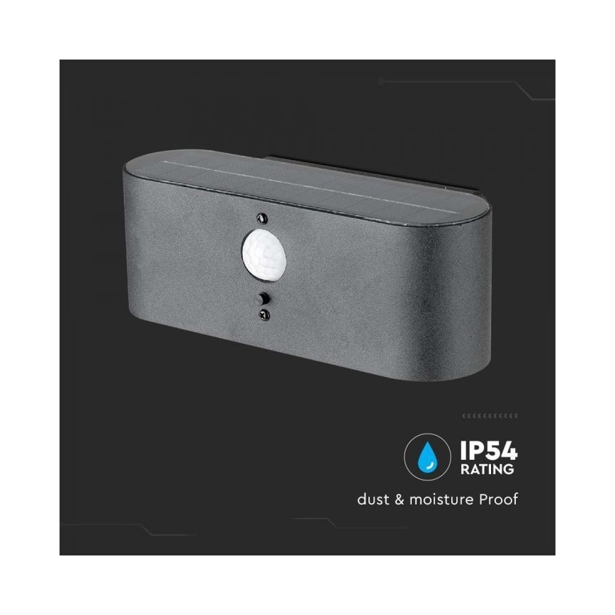 LED Utomhus solvägglampa med sensor LED/2,5W/3,7V 3000K IP54 2000 mAh